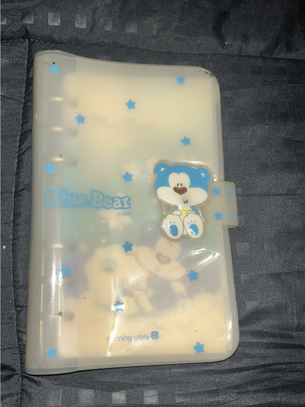 Blue Bear Decorative Plastic Binder Folder - Blue